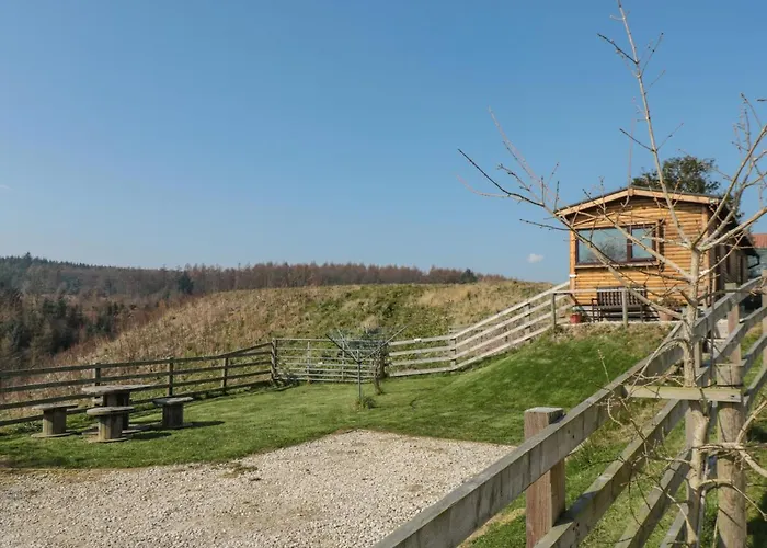 Castle View Cabin